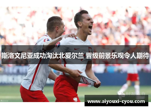 斯洛文尼亚成功淘汰北爱尔兰 晋级前景乐观令人期待