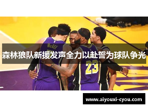 森林狼队新援发声全力以赴誓为球队争光