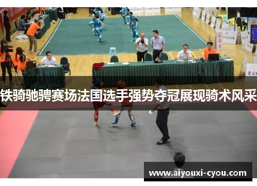铁骑驰骋赛场法国选手强势夺冠展现骑术风采
